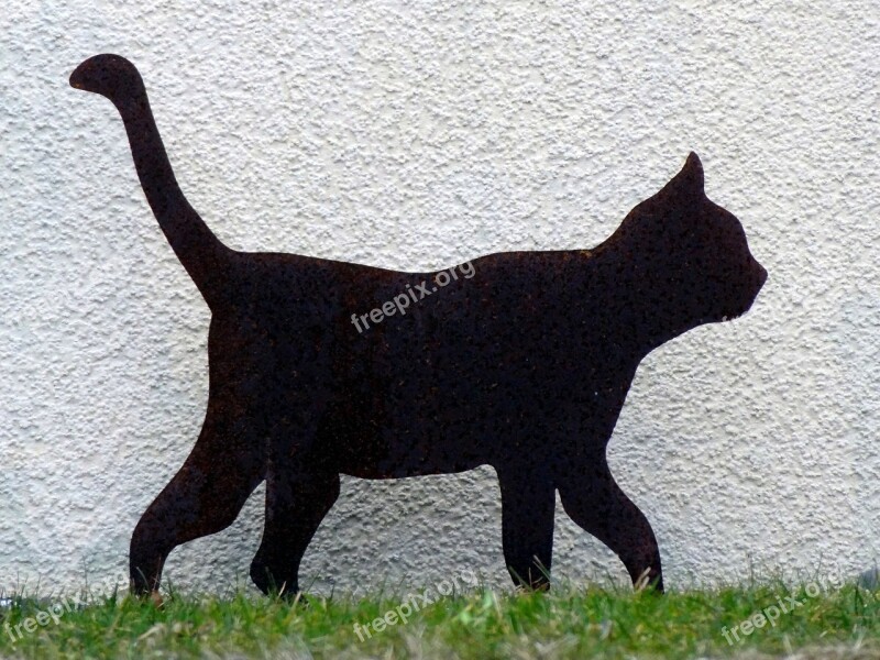 Cat Silhouette Pet Animal Black