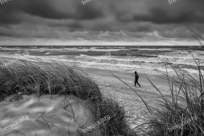 Coast Sea Wind Nature Wave