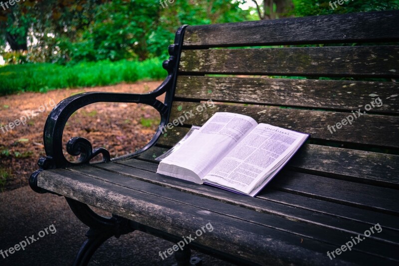 Bible Bench South Carolina Sc Book