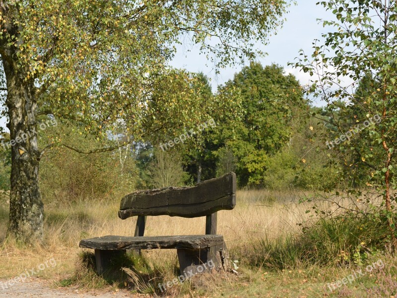 Wooden Bench Landscape Recovery Rest Seat