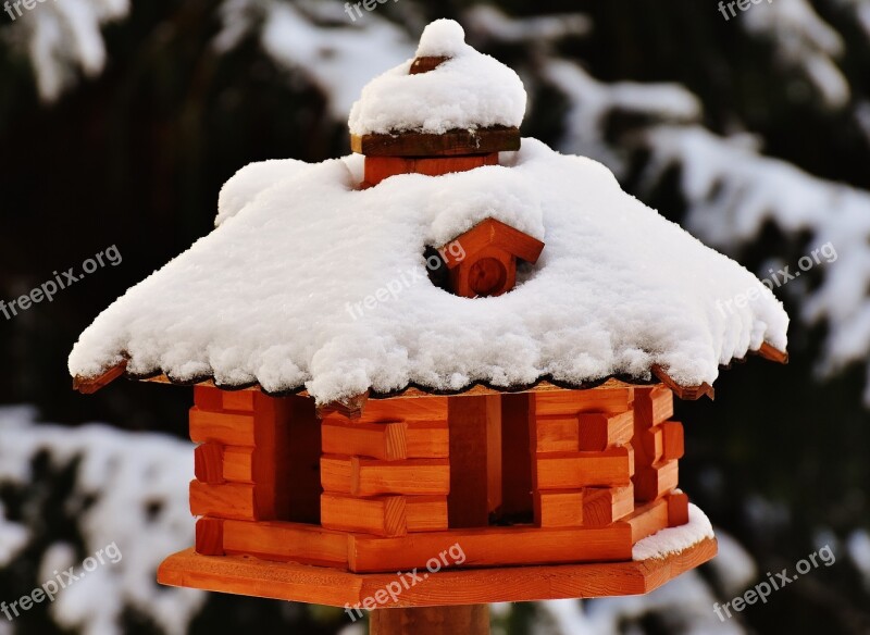 Bird Aviary Feeding Winter Snow