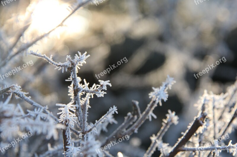 Frost Christmas Winter Cold Background