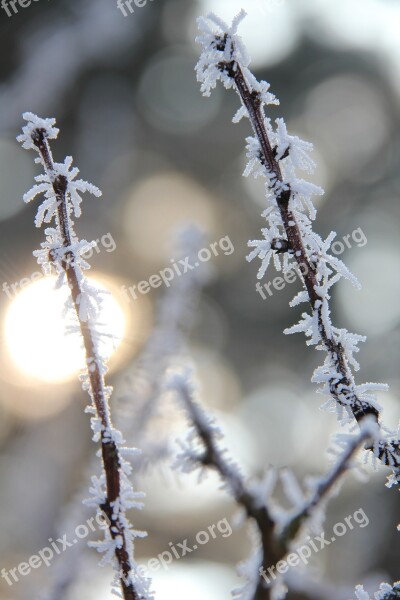 Frost Christmas Winter Cold Background