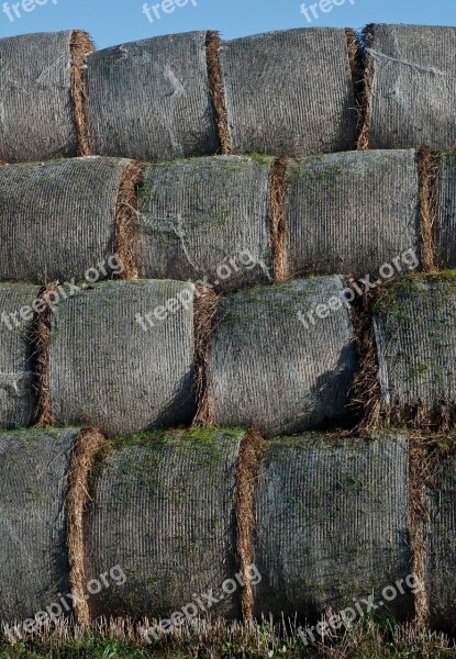 Haystack Straw Agriculture Hay Harvest