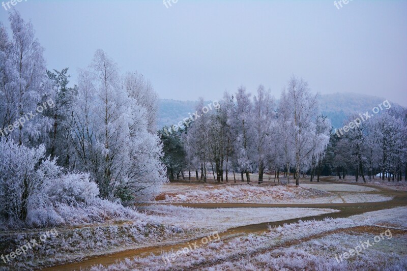 Winter Hoarfrost Frost Nature Wintry