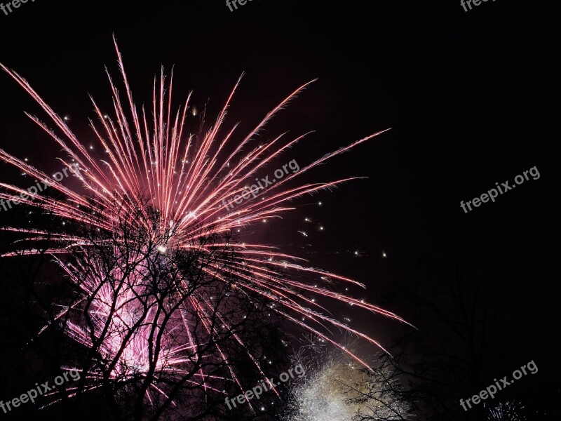 Fireworks Sky New Year's Day 2017 Federal Government