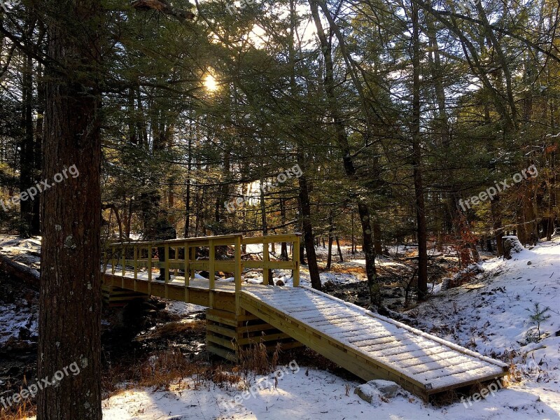 Snow Bridge Forest Park Winter