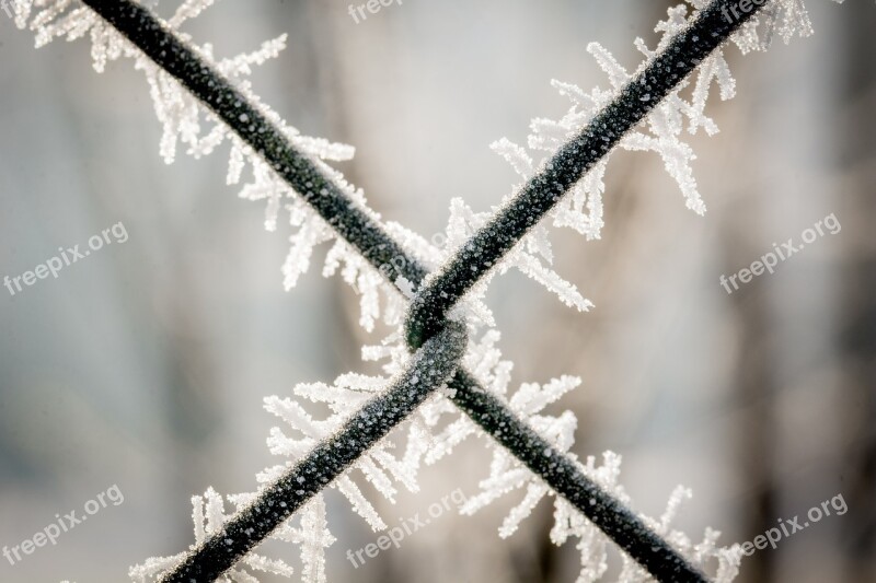 Wire Mesh Fence Eiskristalle Frozen Winter Ice