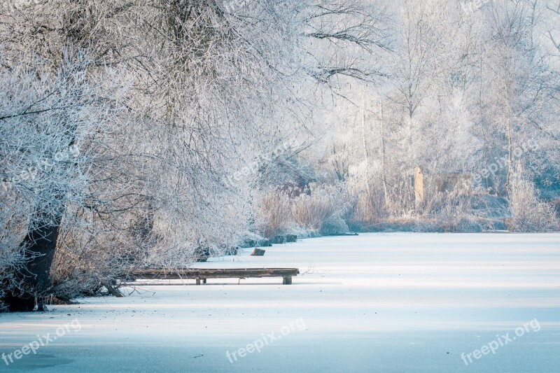 Wintry Lake Winter Web Iced