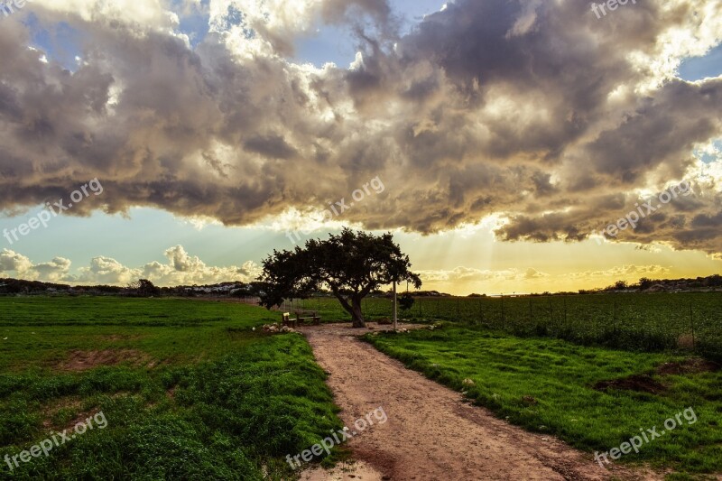 Cyprus Cavo Greko Tree Lonely Landscape