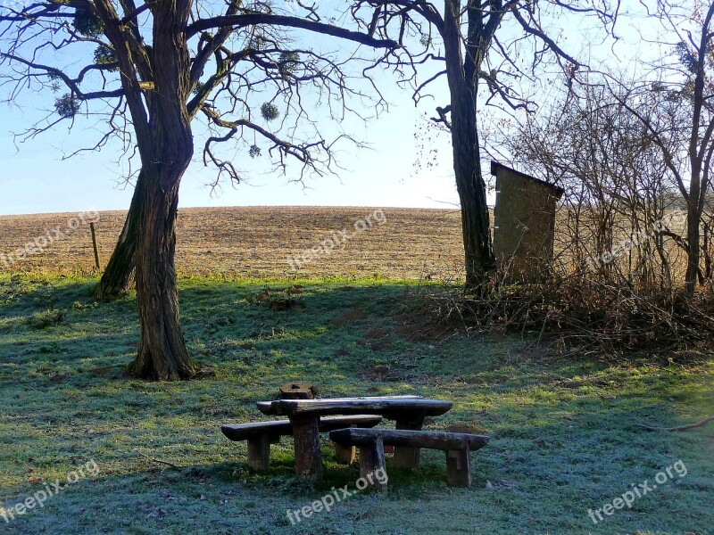 Winter Landscape Winter Landscape Colors Frost