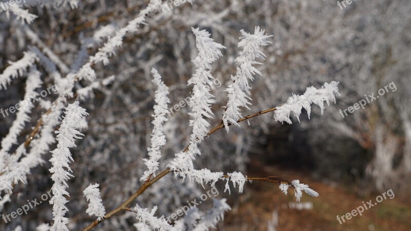 Winter Eiskristalle Frozen Ice Cold