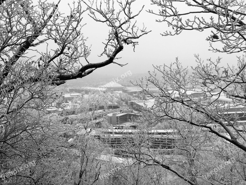 Brno Czech Republic Winter Frost Black And White Snow