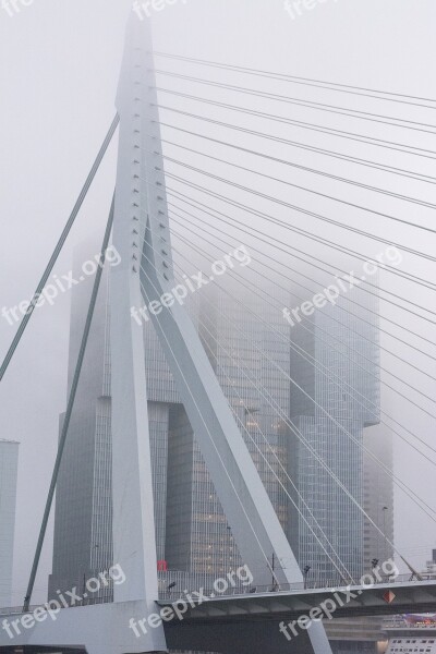 Fog Bridge Rotterdam Erasmus Bridge Swan