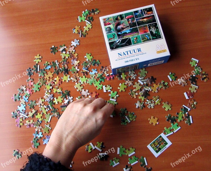 Puzzle Puzzling Jigsaw Puzzle Relaxation Hand