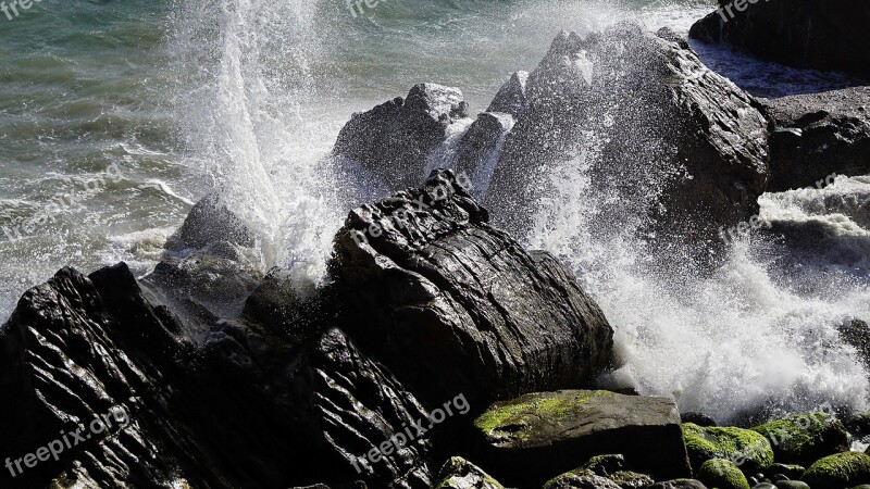 Ocean Crash Wave Water Nature