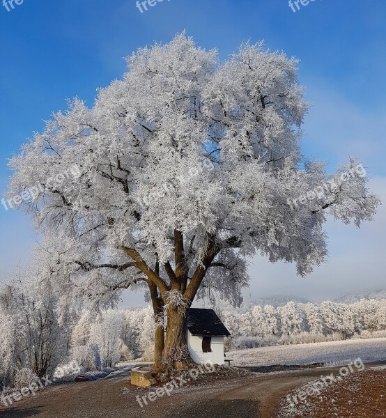 Winter Snow Wintry Cold White