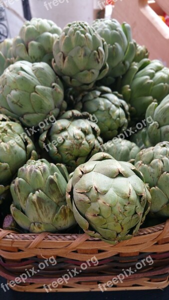 Artichokes Food Vegetable Green Fresh