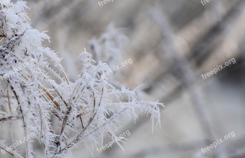 Frost Winter Aesthetic Winter Magic Wintry