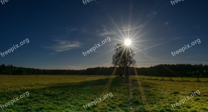 Sky Sun Blue Sunny Light