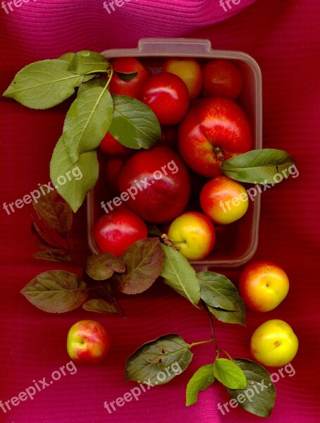 Peach Plum Fruit Natural Health Vitamin