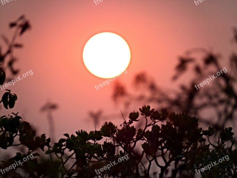 Nature Eventide Red Sol By Sunsets