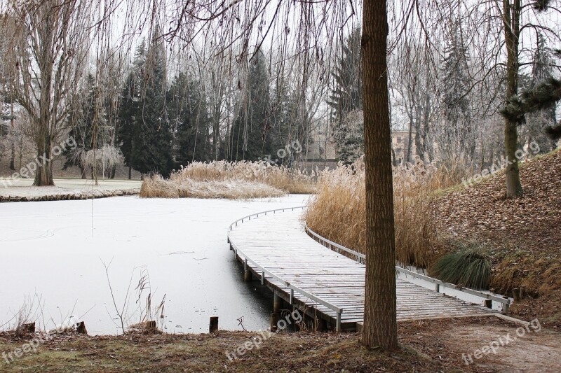 Winter Frost Snow Reed Park