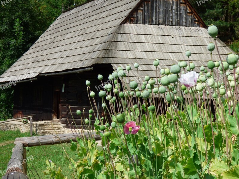 Cottage Slovakia Summer Orava Wooden House