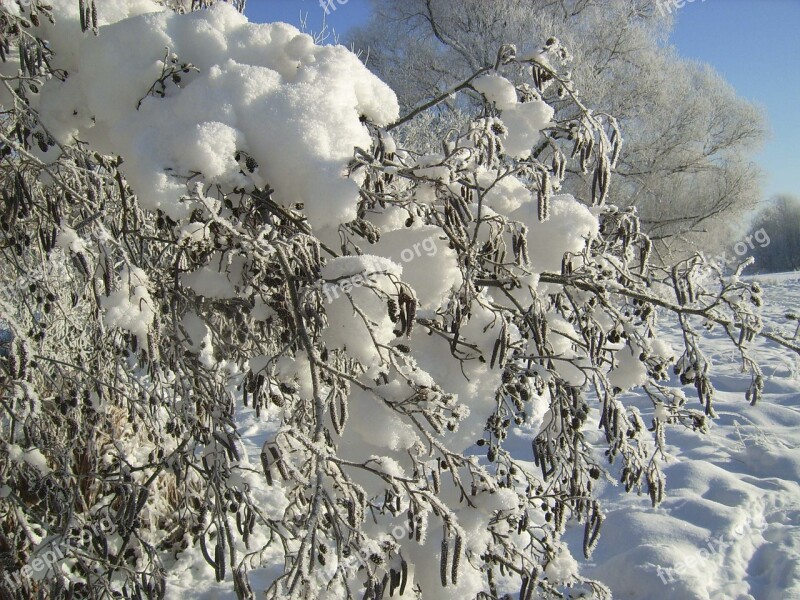 Nature Winter Snow Wintry Winter Cold