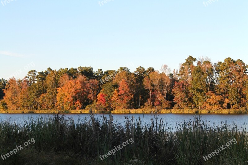 Trees Tree Line Autumn Fall Lake