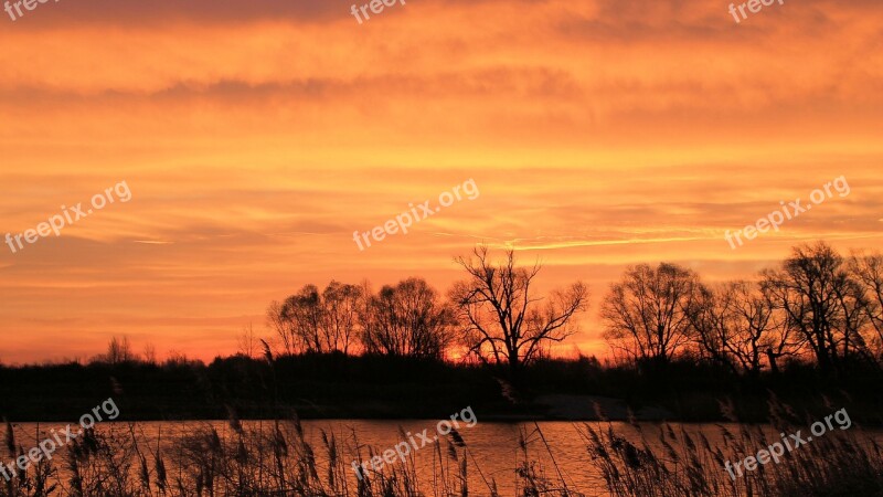 Sunset Trees Lake Waters Silhuette