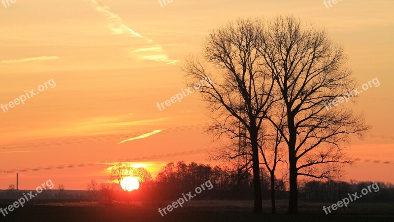 Sunset Trees Lake Waters Silhuette