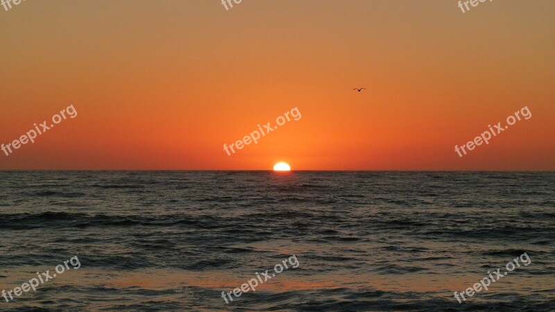 Sunset Ocean Beach Pacific Ocean Sky