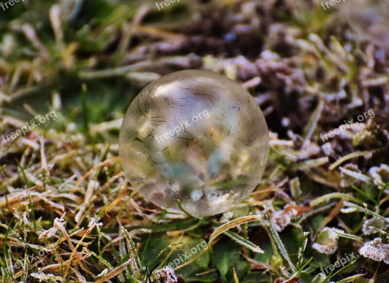 Soap Bubble Frozen Winter Frozen Bubble Cold