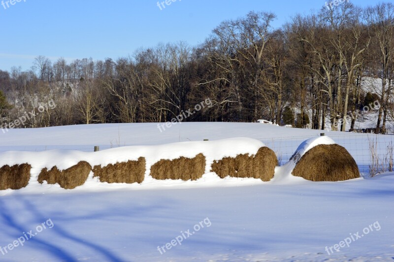 Hay Bales Snow Farm Sky Rural