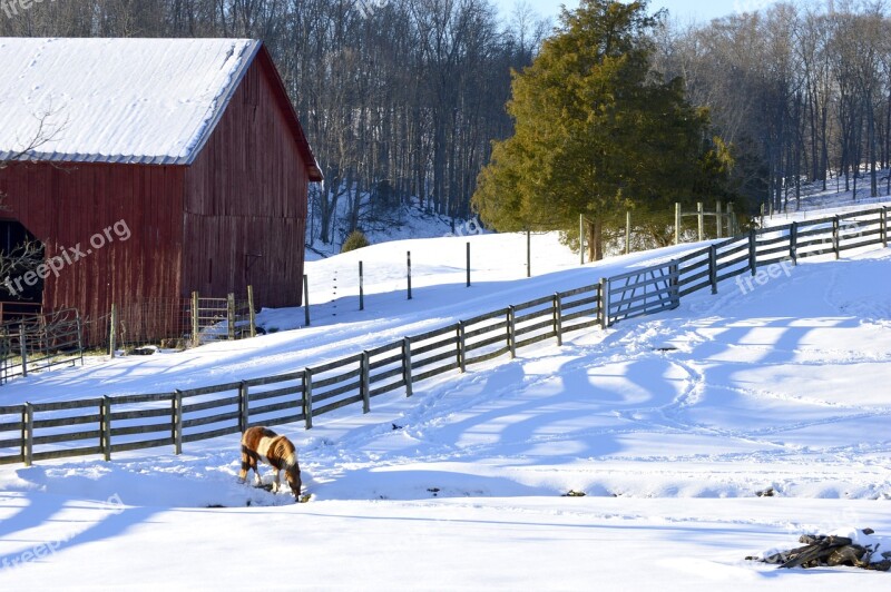 Farm Barn Wood Red Barn Field Rural