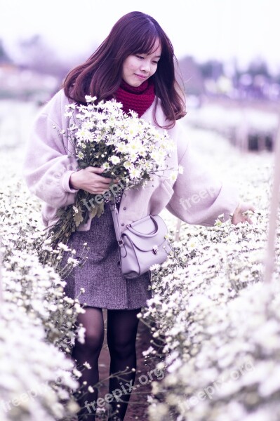 Chrysanthemum Daisy Robins Flower The Field Woman