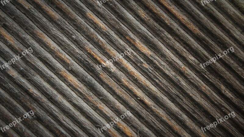 Wood Stripes Texture Nature Forest