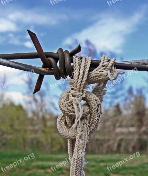 Barbed Wire Fence Pain Free Photos