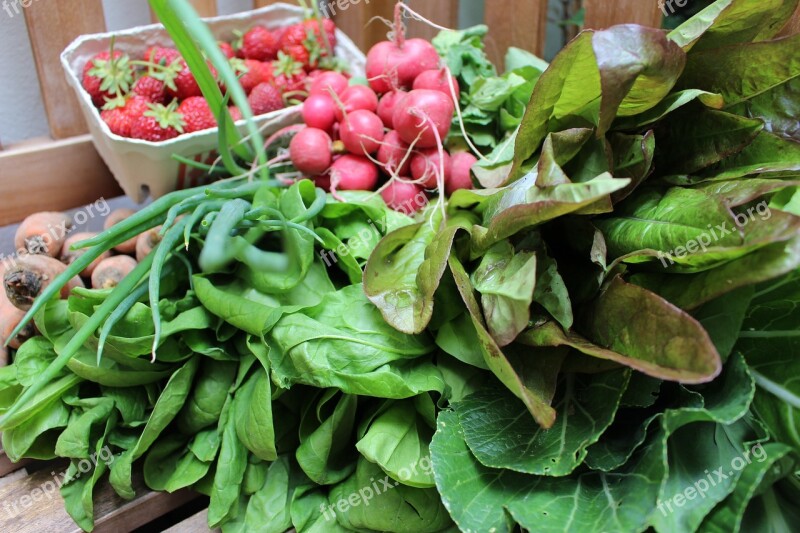 Vegetables Vegetable Crate Salad Radishes Free Photos