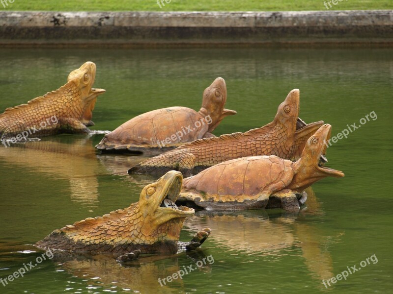 Versailles Fountain Garden France Turtles