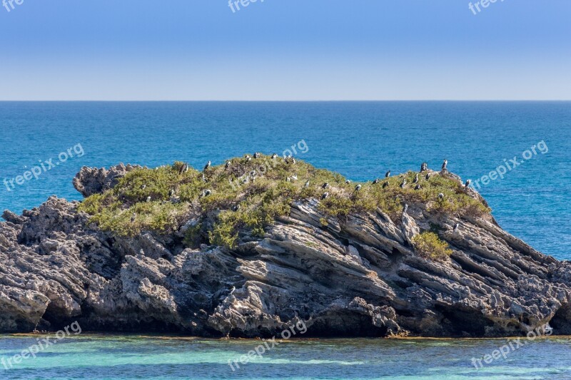 Bay Rottnest Island Rottnest Wadjemup Australia