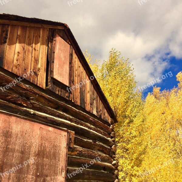 Barn Aspens Fall Autumn Rural