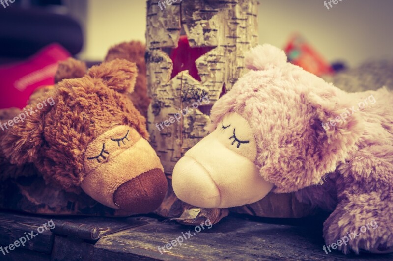 Bear Star Teddy Bear Sleep Rest