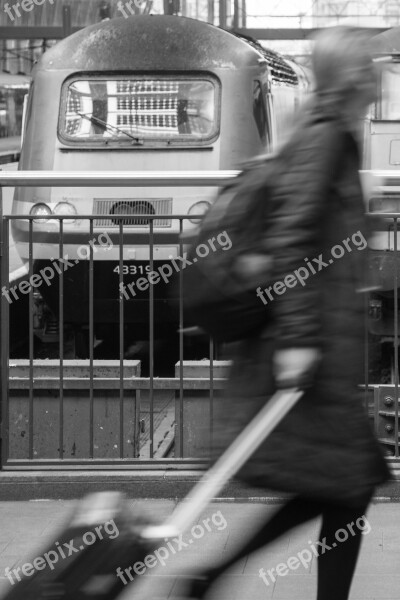 Person Crossing People Road Street