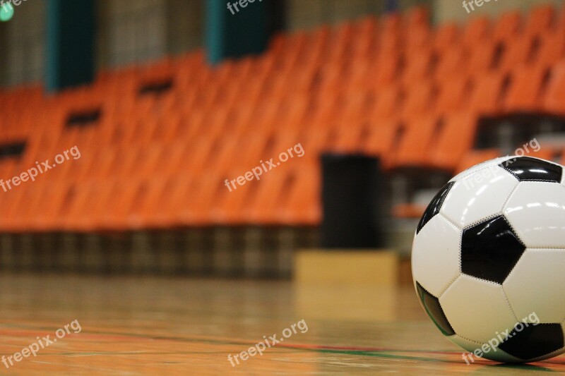 Ball Soccer Training Goal Hall