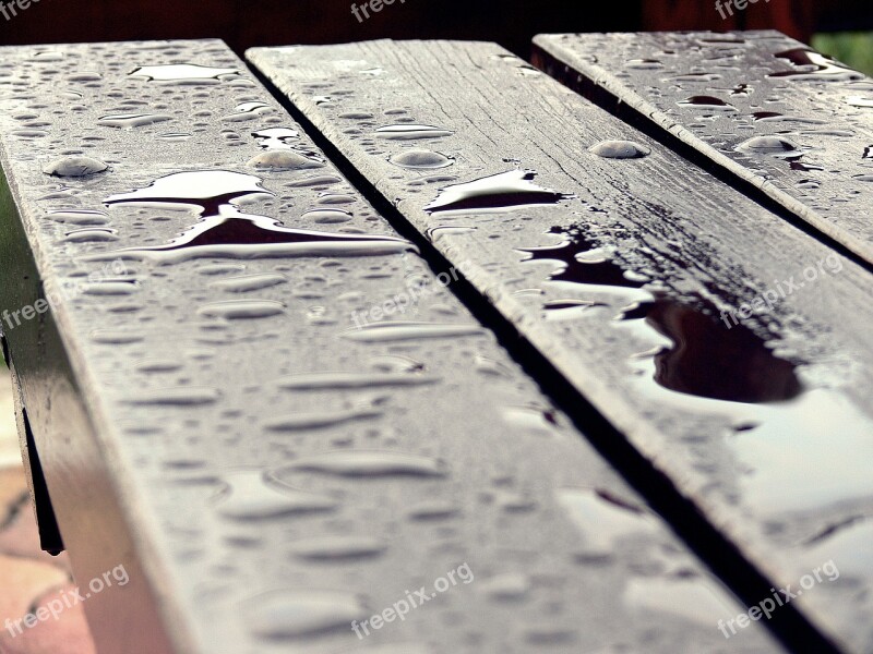 Pad Rain Drops Macro Wood