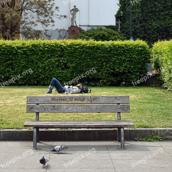 Bench Park Still Life Man Sleep