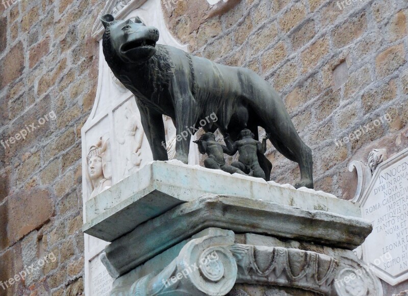 Romulus Remus Capitoline Wolf Rome Free Photos