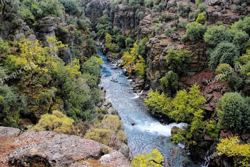 Nature Canyon Forest Mountain Green